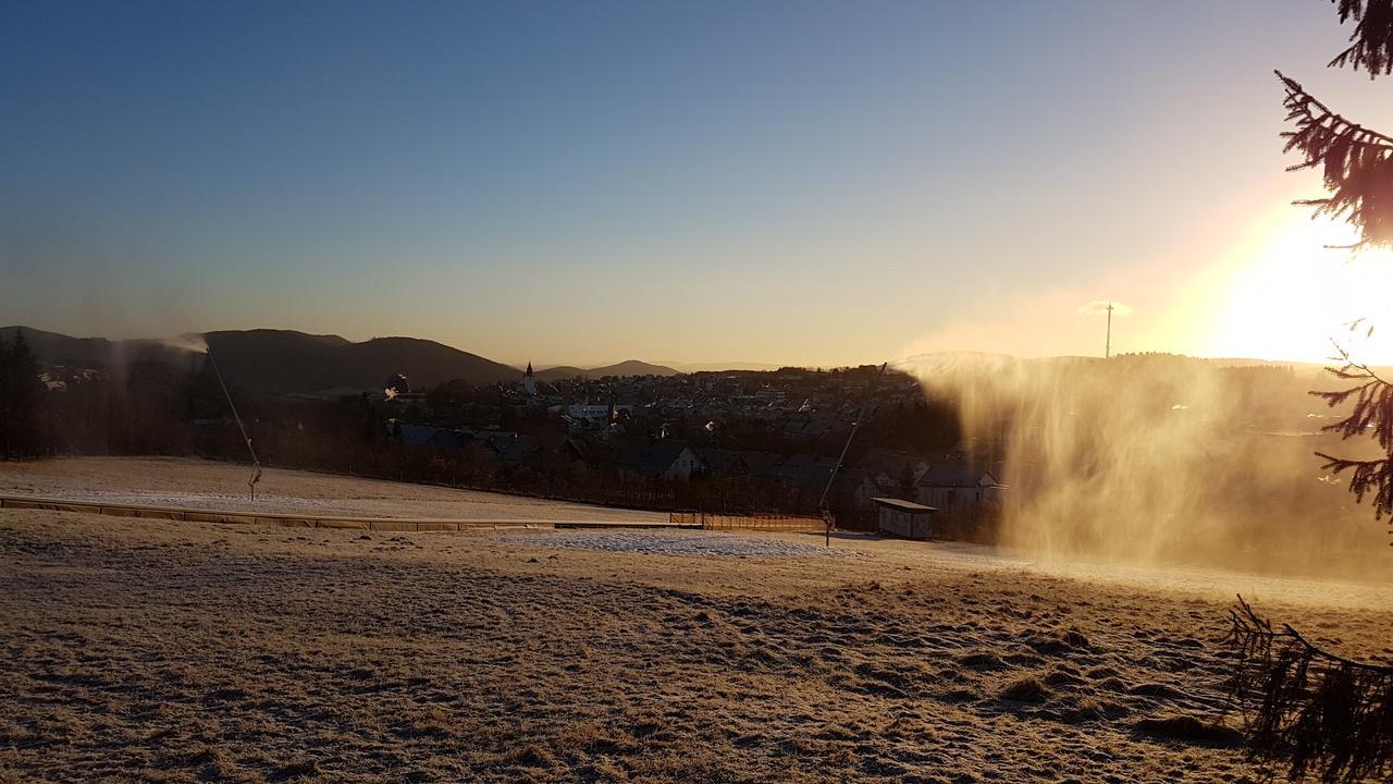 Haus Nicole Lejlighed Winterberg Eksteriør billede