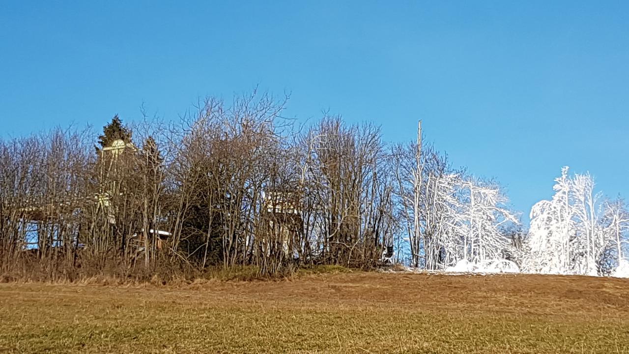 Haus Nicole Lejlighed Winterberg Eksteriør billede